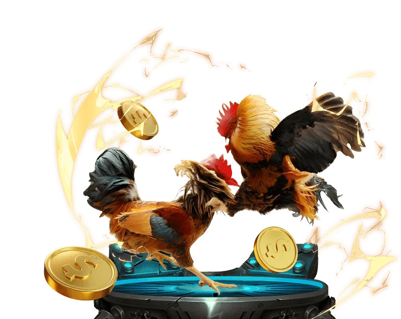 Mẹo và chiến lược cá cược đá gà 28bet